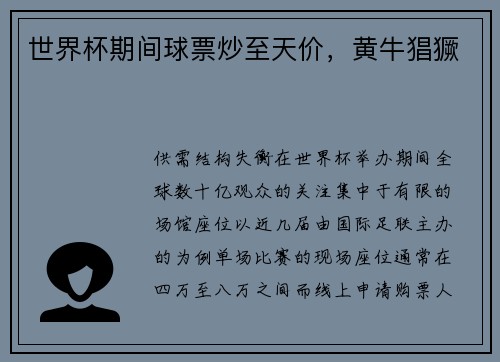 世界杯期间球票炒至天价，黄牛猖獗